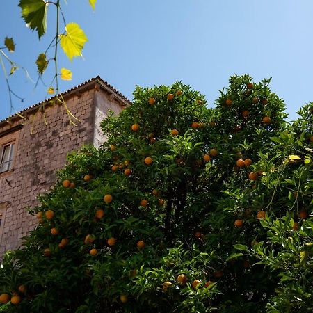 Apartman Jelena Apartamento Dubrovnik Exterior foto