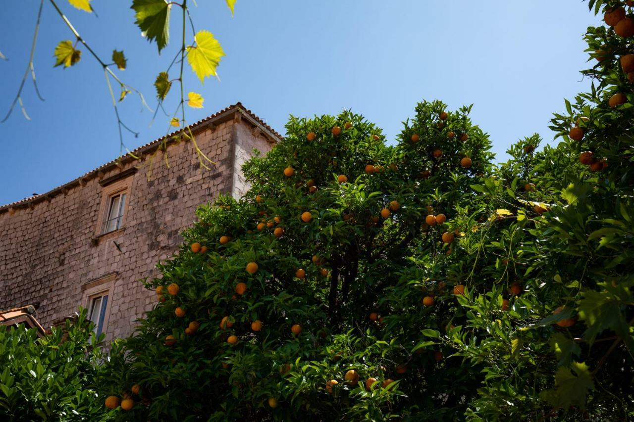 Apartman Jelena Apartamento Dubrovnik Exterior foto