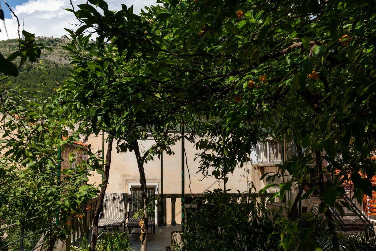 Apartman Jelena Apartamento Dubrovnik Exterior foto